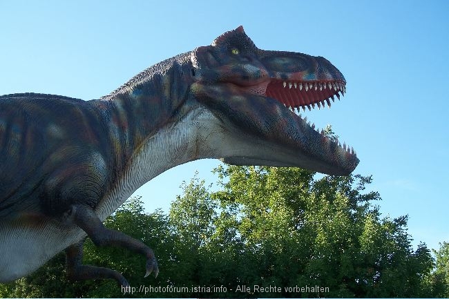 FUNTANA__Dino_3.jpg