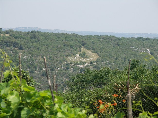 PICT3018-1.jpg