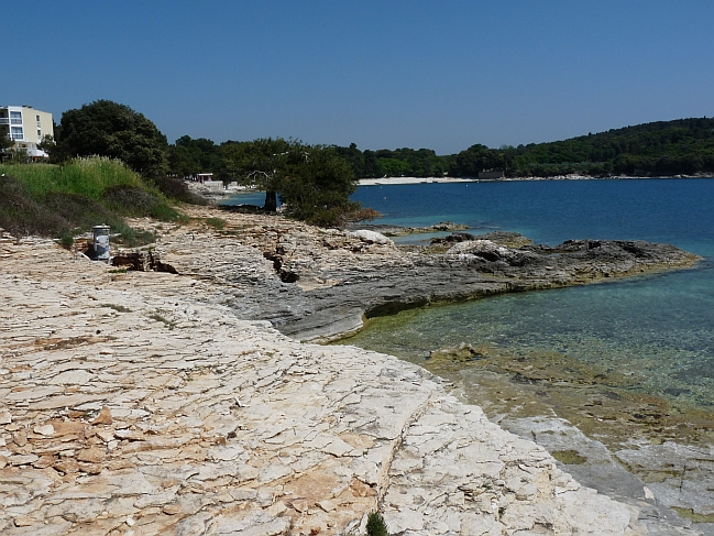 P1050318a.jpg