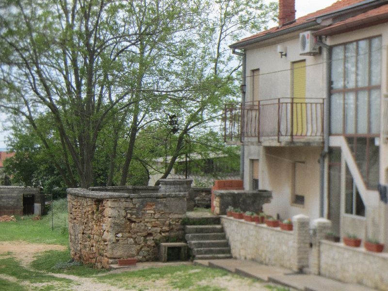 muntic_24.jpg