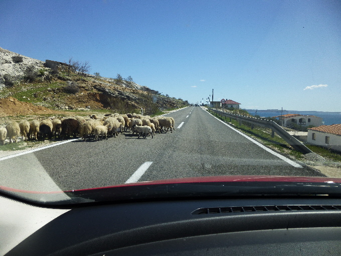 P10801271.jpg