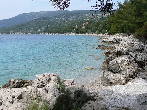 P1180575_Bildgre_ndern.JPG
