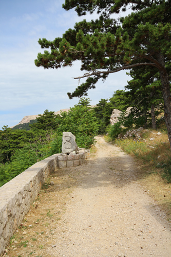 2014-11-21.jpg
