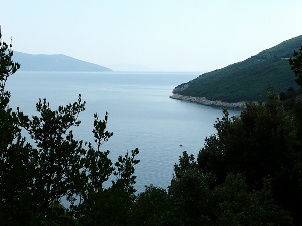 P1020037.JPG