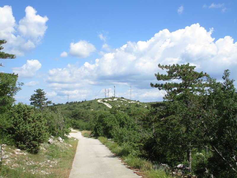 29649624wb.jpg