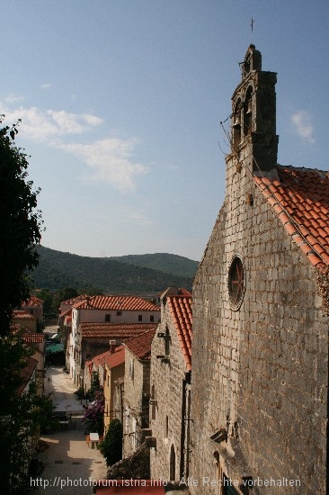 010.jpg