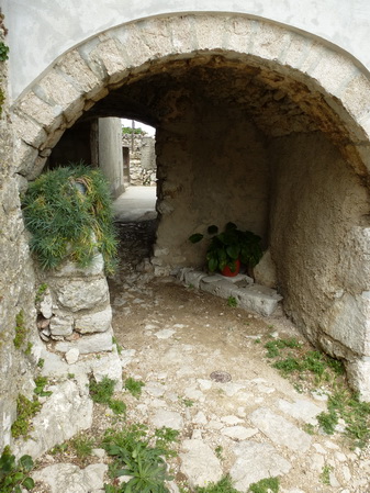 P1010250_Bildgre_ndern.jpg