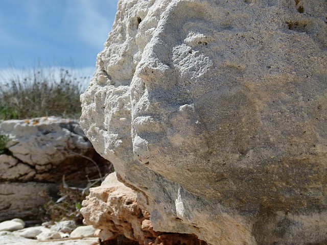 P1170977.jpg