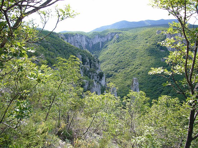 P1000168-1.jpg