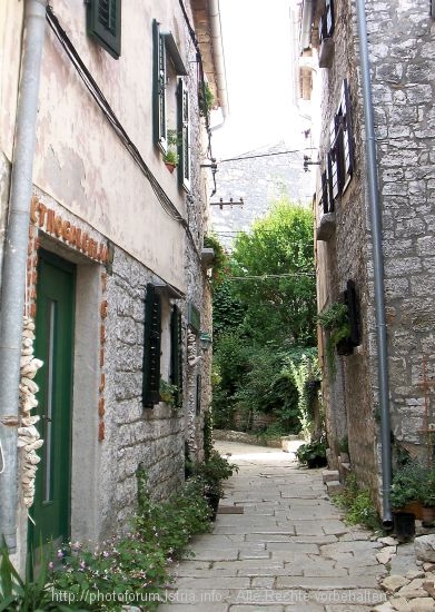 100_9679b.JPG