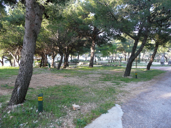 P1180137_Bildgre_ndern.JPG