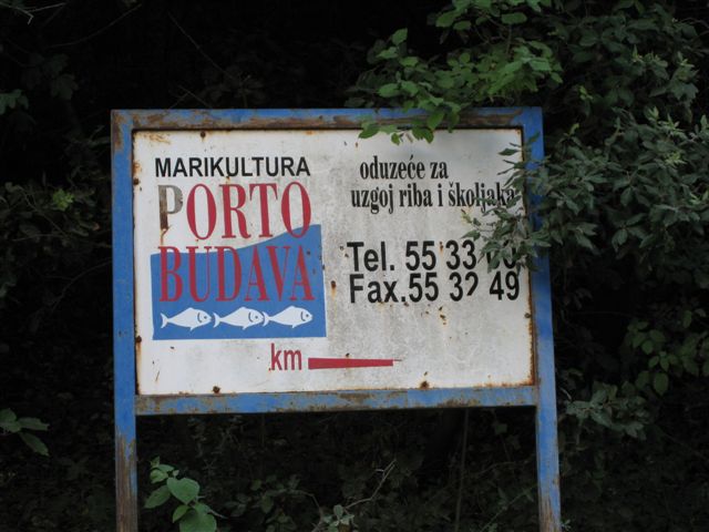 Goldie_Budava.jpg