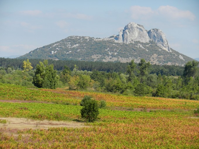 Zir_680.jpg