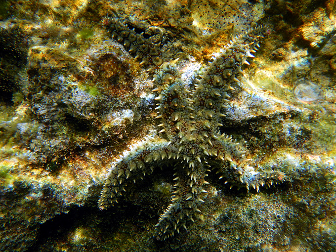 DSCN1650.JPG