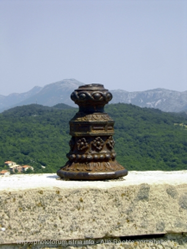 PICT5495-1.jpg