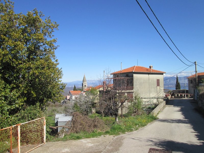 32321676vv.jpg