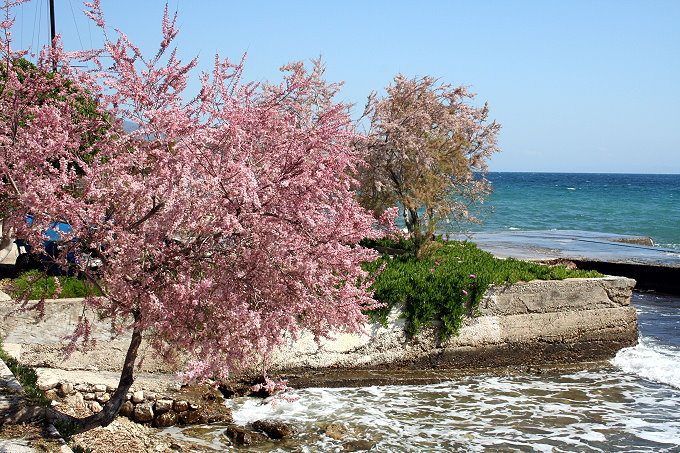 7.4.08__090__680.jpg