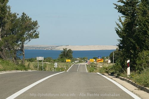 IMG_2208_klein.jpg