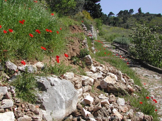 1L_165.jpg