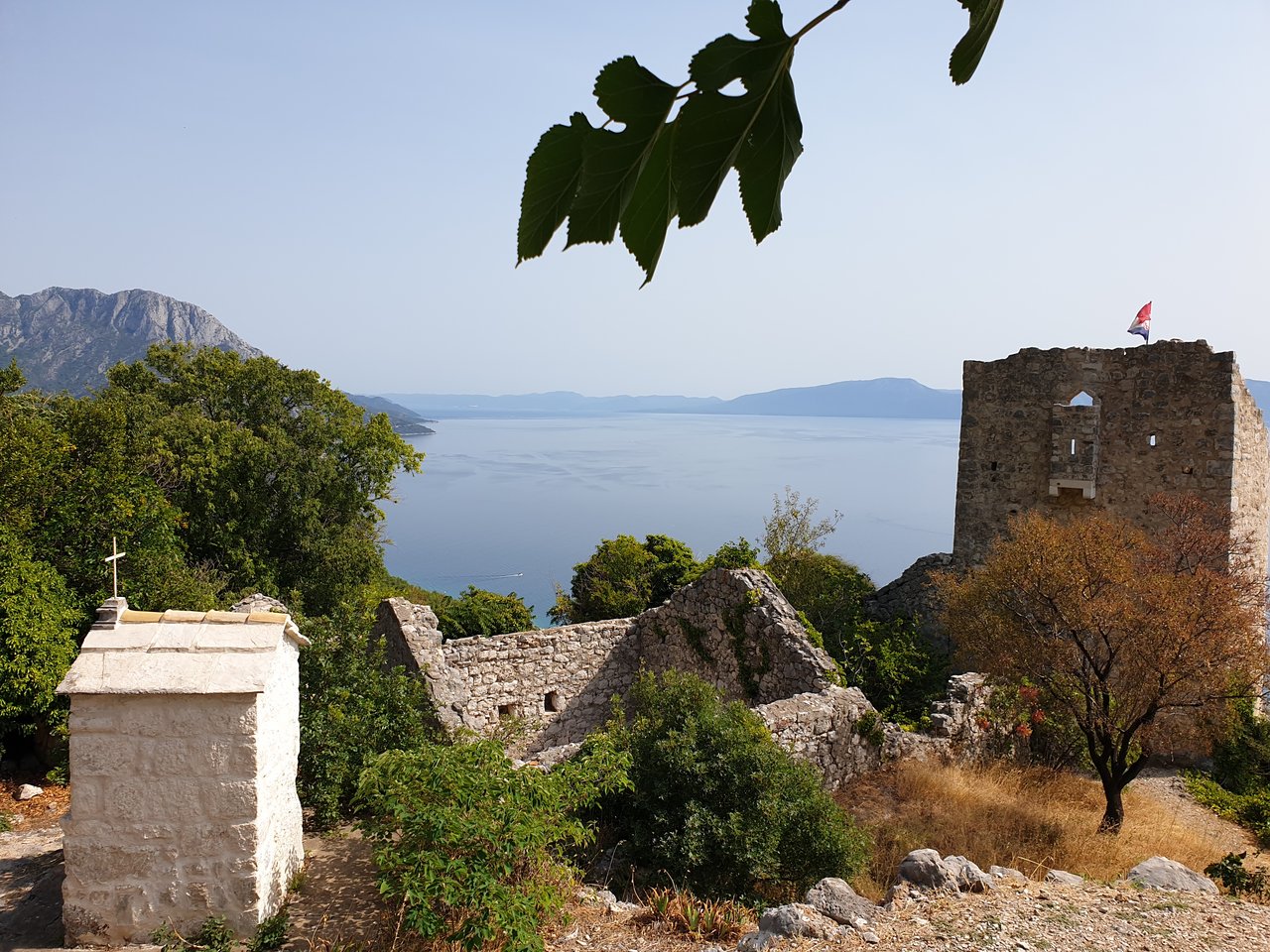 45277746ld.jpg