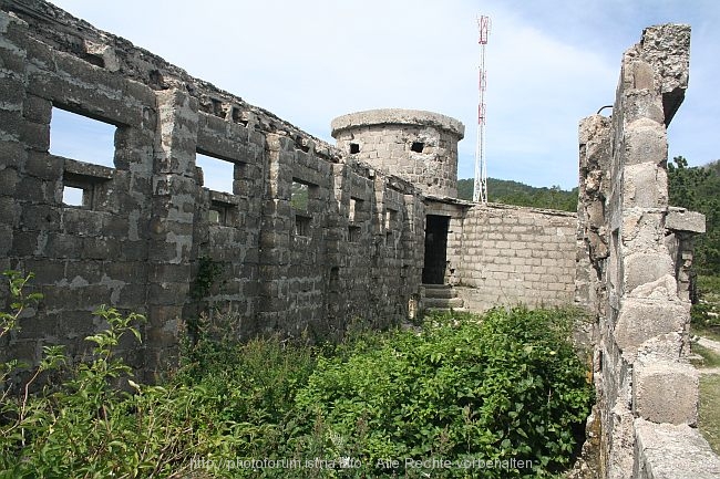 Gewaechshaus_IMG_5780.jpg