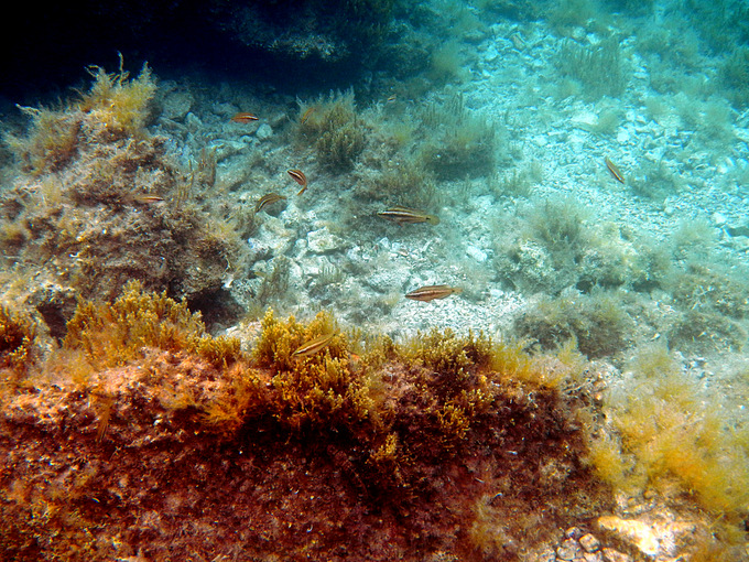 DSCN1477.JPG