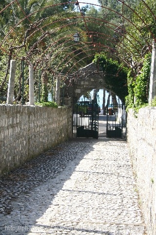 11_Zaostrog_Kloster6.4.08_Sonntag_Ciste_077.jpg