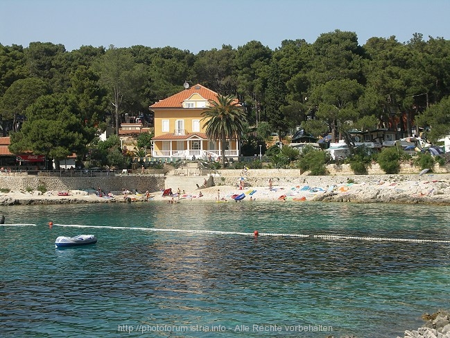PICT7234-1.JPG