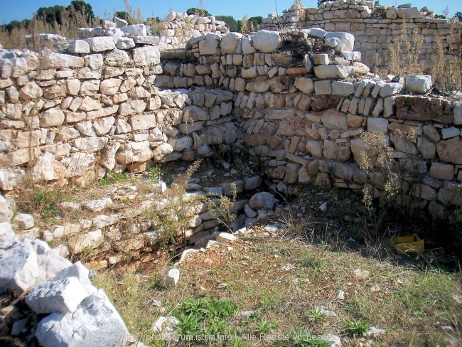 Barbariga_2585.jpg
