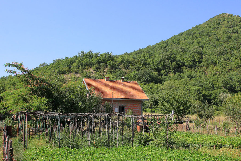 34481107mh.jpg