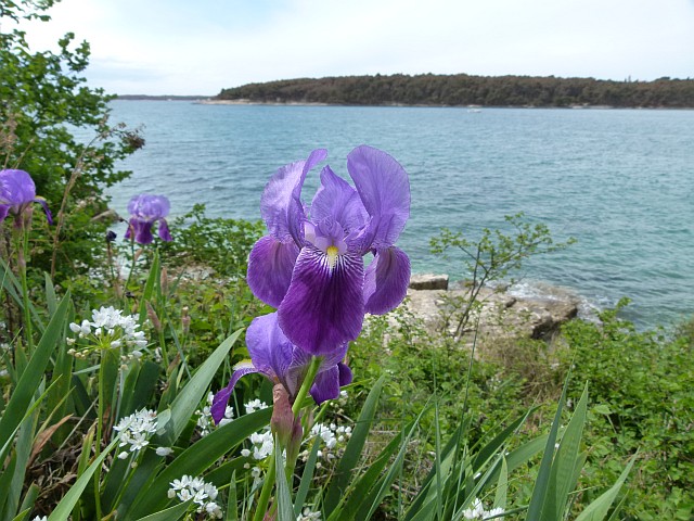 P1160890_klein.jpg
