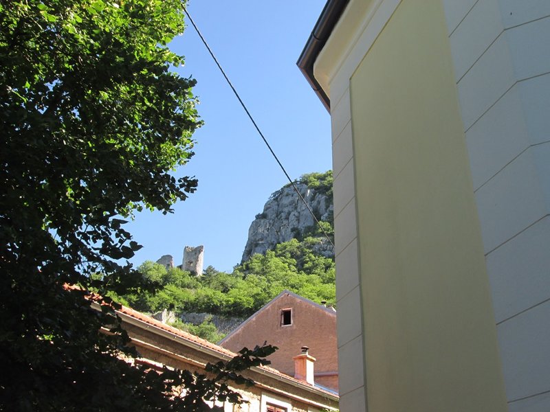 29446042ev.jpg