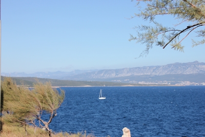 33950471ua.jpg
