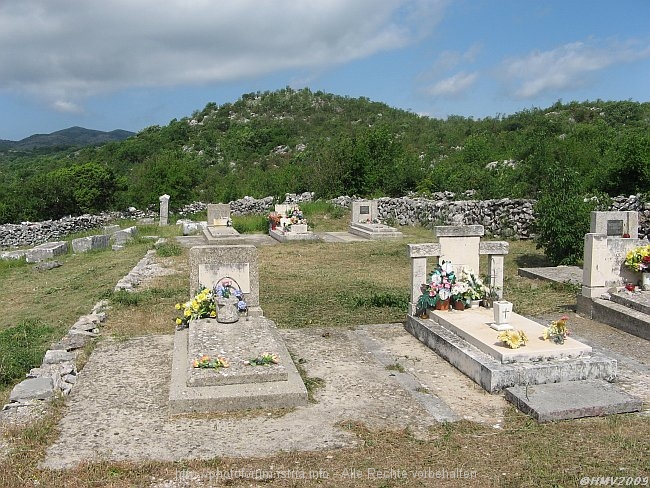 BROTNICE_018_2009IMG_5464.jpg