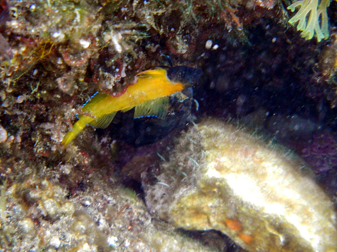 DSCN1496.JPG