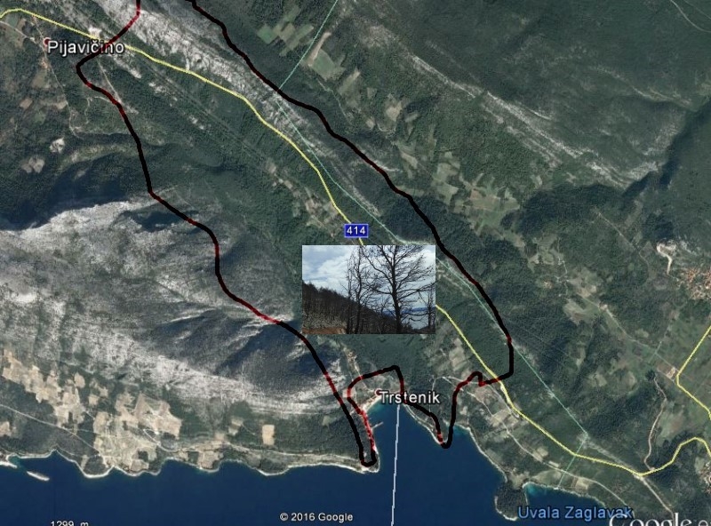 07_800b__trstenik.jpg
