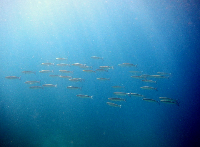 DSCN1430.JPG