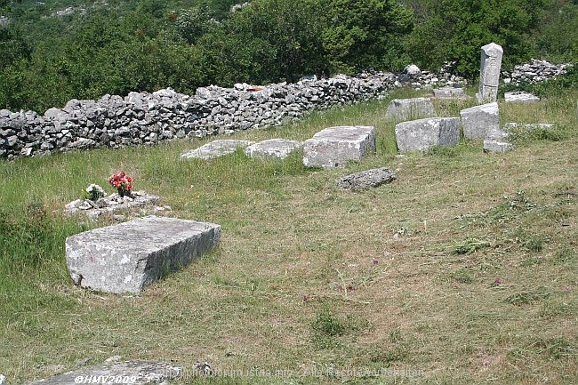 BROTNICE_019_2009IMG_2556.jpg