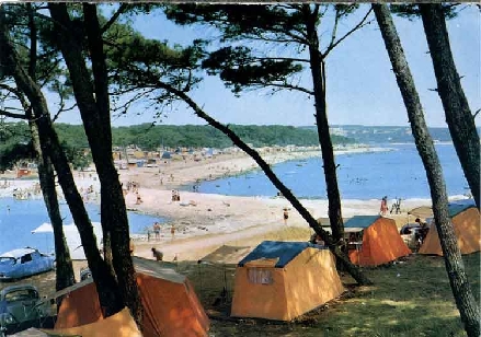 medulincamp.jpg