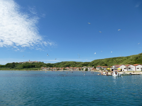 P1010361_Bildgre_ndern.jpg