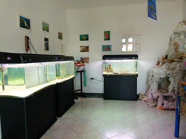 aP1190179klein.jpg