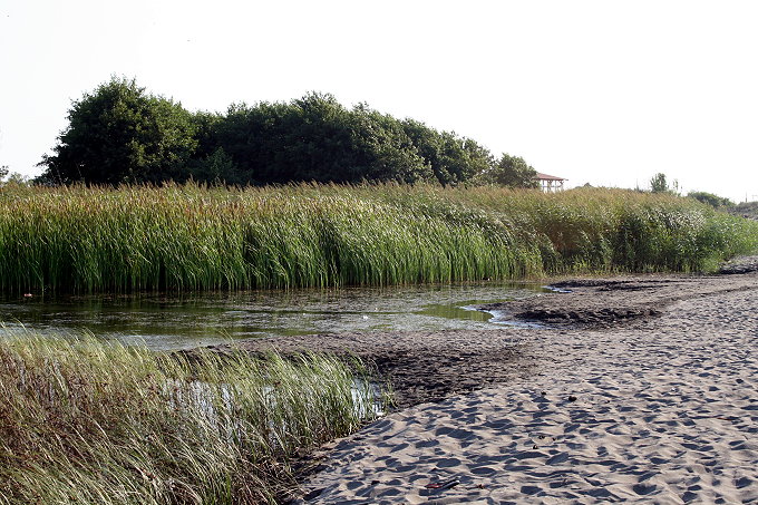 29_Frsche_6_680.jpg