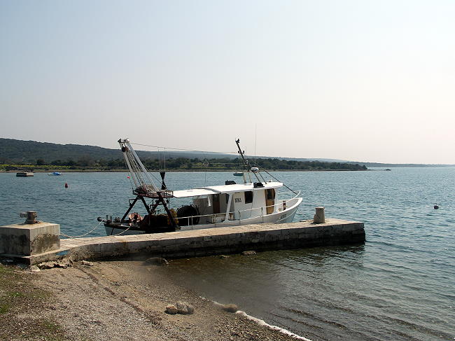 PICT3009-1.jpg
