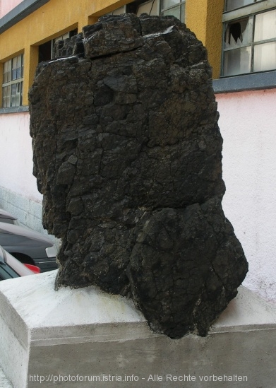 fotortsel-1-1.jpg