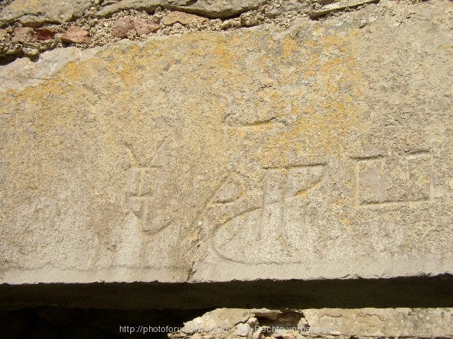 P1010127.jpg
