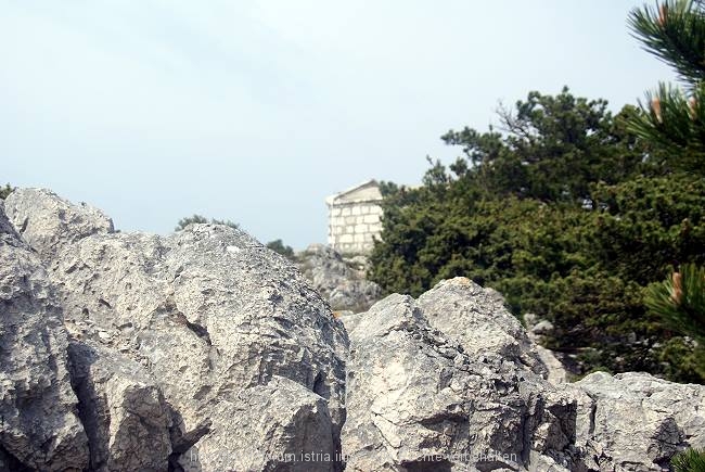 DSC01270-1.JPG