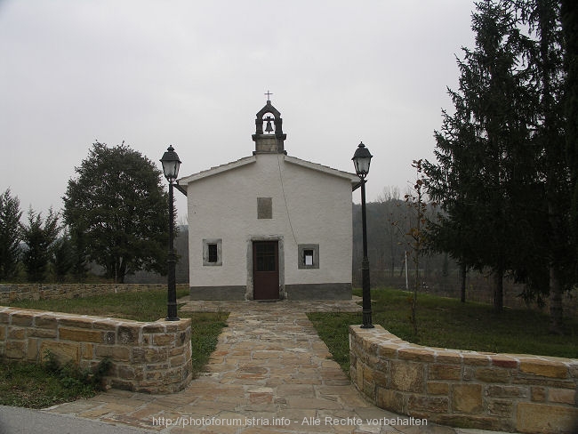 PICT8981-1.jpg