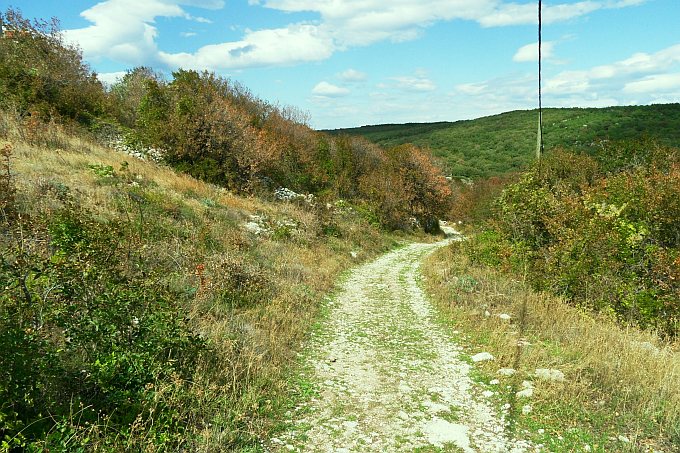 167_Wanderweg_Lubenice_Valun.jpg