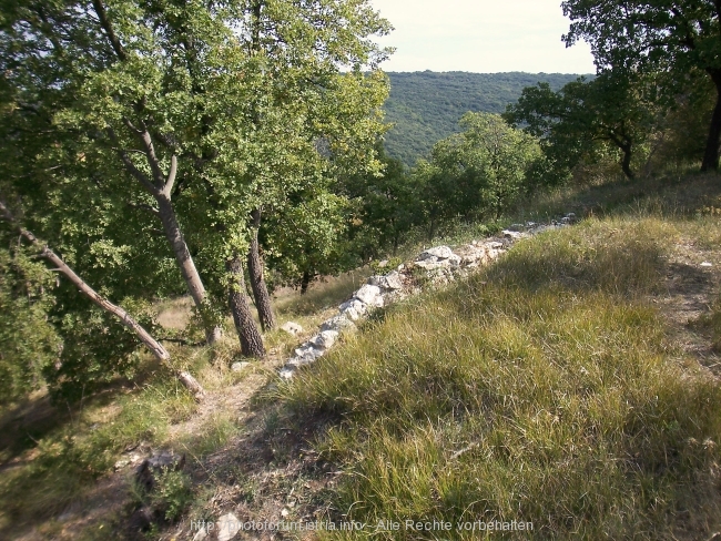 100_2513.jpg