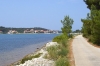 100_8264.jpg